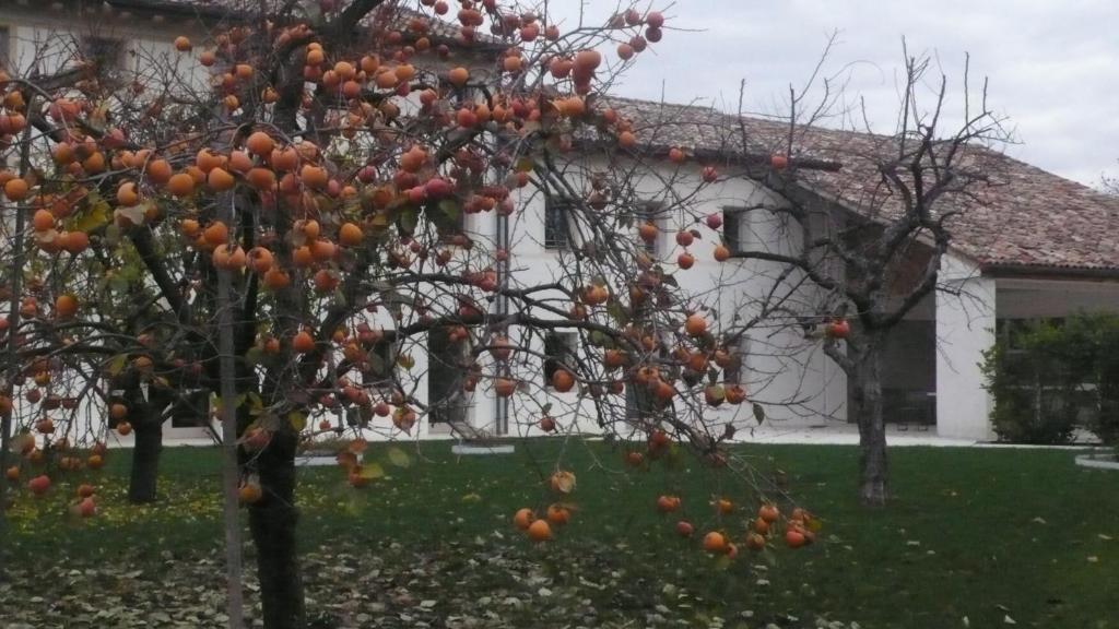 מונטבלונה Caspineda Agriturismo מראה חיצוני תמונה