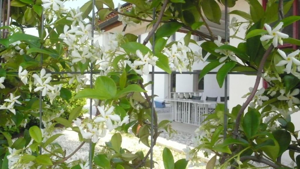 מונטבלונה Caspineda Agriturismo מראה חיצוני תמונה